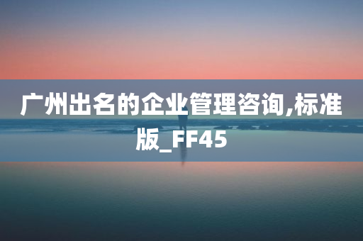 广州出名的企业管理咨询,标准版_FF45