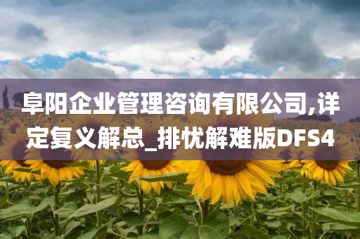 阜阳企业管理咨询有限公司,详定复义解总_排忧解难版DFS4