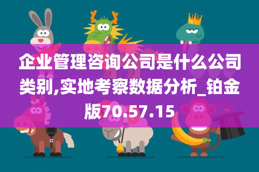 企业管理咨询公司是什么公司类别,实地考察数据分析_铂金版70.57.15