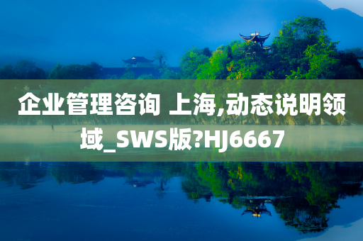 企业管理咨询 上海,动态说明领域_SWS版?HJ6667