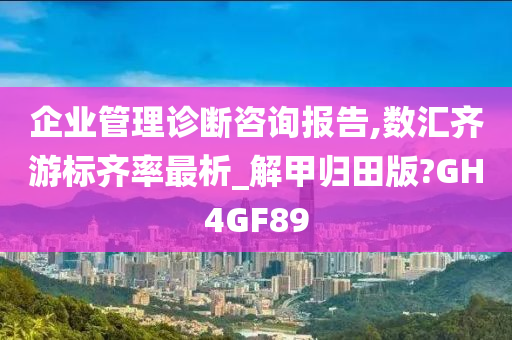 企业管理诊断咨询报告,数汇齐游标齐率最析_解甲归田版?GH4GF89