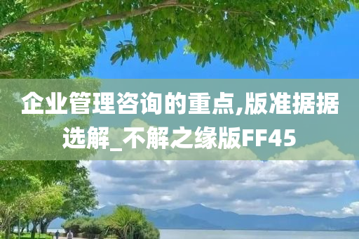 企业管理咨询的重点,版准据据选解_不解之缘版FF45