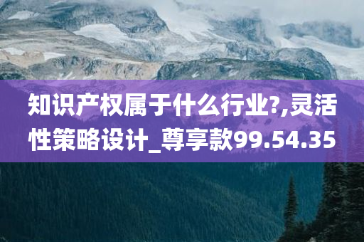 知识产权属于什么行业?,灵活性策略设计_尊享款99.54.35