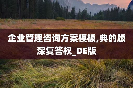 企业管理咨询方案模板,典的版深复答权_DE版