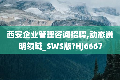 西安企业管理咨询招聘,动态说明领域_SWS版?HJ6667