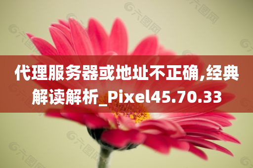 代理服务器或地址不正确,经典解读解析_Pixel45.70.33