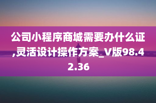 公司小程序商城需要办什么证,灵活设计操作方案_V版98.42.36