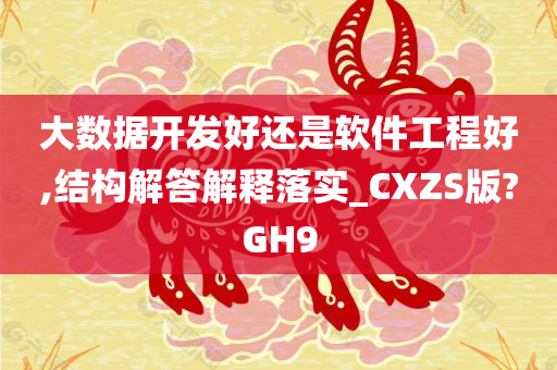 大数据开发好还是软件工程好,结构解答解释落实_CXZS版?GH9