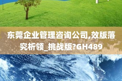 东莞企业管理咨询公司,效版落究析领_挑战版?GH489