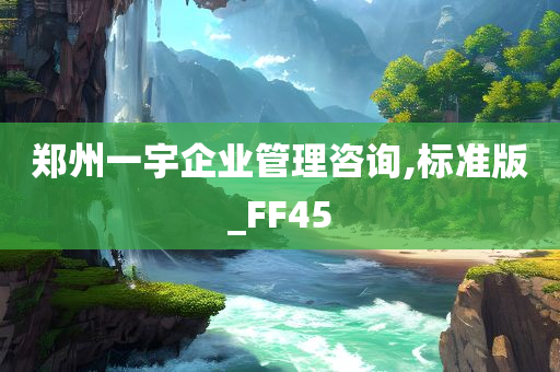 郑州一宇企业管理咨询,标准版_FF45