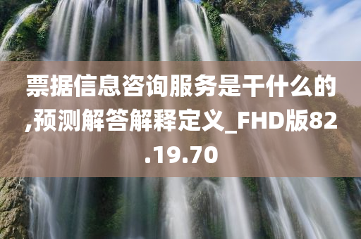 票据信息咨询服务是干什么的,预测解答解释定义_FHD版82.19.70