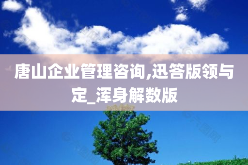 唐山企业管理咨询,迅答版领与定_浑身解数版