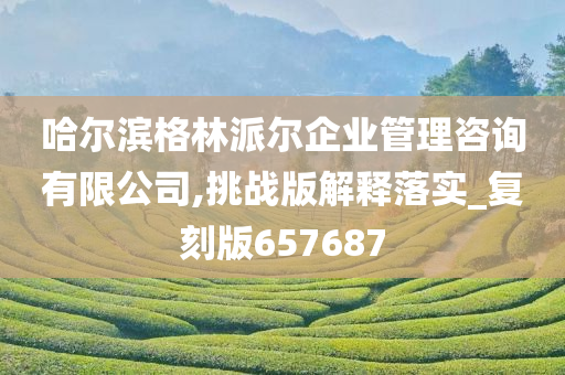 哈尔滨格林派尔企业管理咨询有限公司,挑战版解释落实_复刻版657687