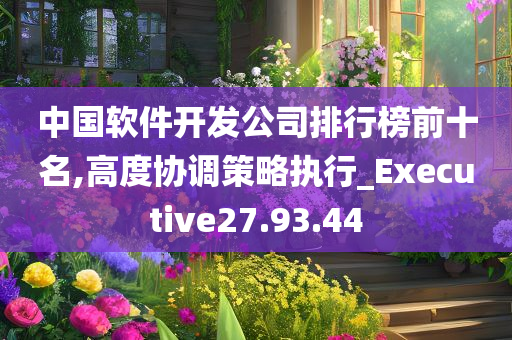 中国软件开发公司排行榜前十名,高度协调策略执行_Executive27.93.44