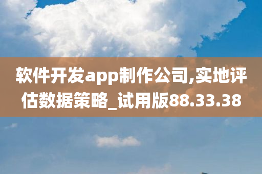 软件开发app制作公司,实地评估数据策略_试用版88.33.38