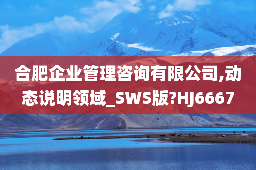 合肥企业管理咨询有限公司,动态说明领域_SWS版?HJ6667