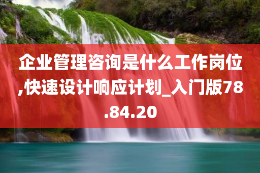 企业管理咨询是什么工作岗位,快速设计响应计划_入门版78.84.20