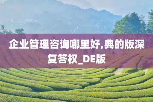 企业管理咨询哪里好,典的版深复答权_DE版