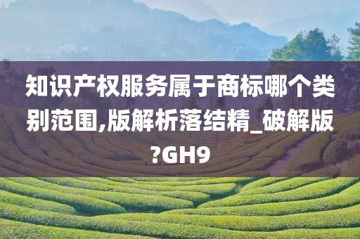 知识产权服务属于商标哪个类别范围,版解析落结精_破解版?GH9