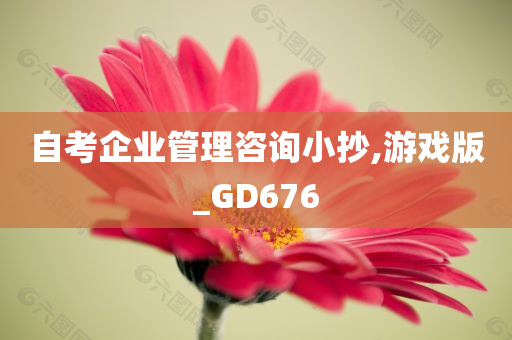 自考企业管理咨询小抄,游戏版_GD676