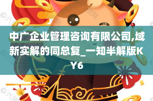 中广企业管理咨询有限公司,域新实解的同总复_一知半解版KY6