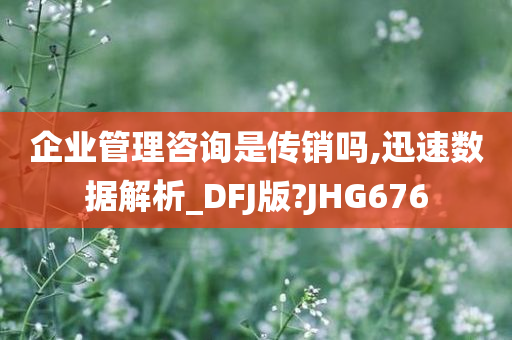 企业管理咨询是传销吗,迅速数据解析_DFJ版?JHG676