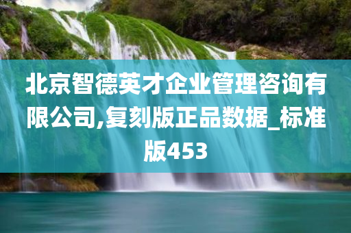 北京智德英才企业管理咨询有限公司,复刻版正品数据_标准版453