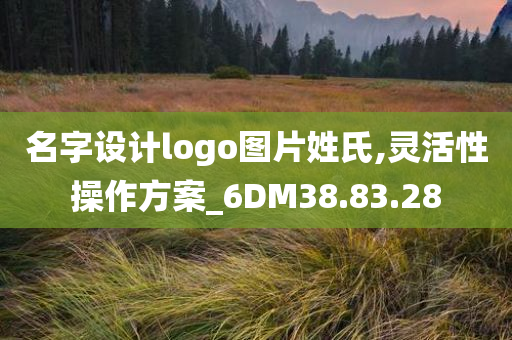 名字设计logo图片姓氏,灵活性操作方案_6DM38.83.28