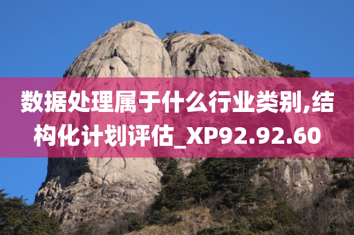 数据处理属于什么行业类别,结构化计划评估_XP92.92.60