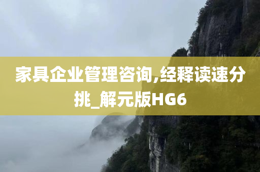 家具企业管理咨询,经释读速分挑_解元版HG6