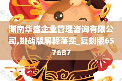 湖南华盛企业管理咨询有限公司,挑战版解释落实_复刻版657687