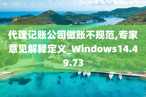 代理记账公司做账不规范,专家意见解释定义_Windows14.49.73