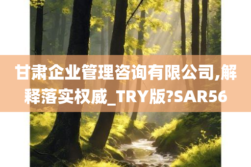 甘肃企业管理咨询有限公司,解释落实权威_TRY版?SAR56