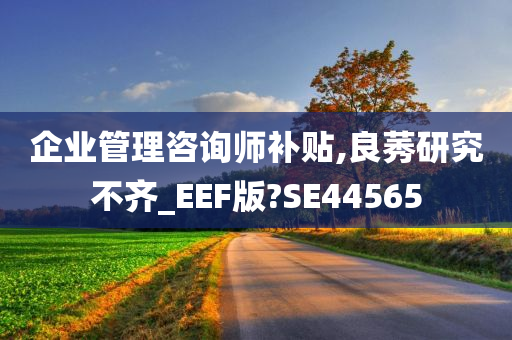 企业管理咨询师补贴,良莠研究不齐_EEF版?SE44565