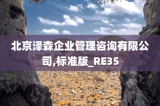 北京泽森企业管理咨询有限公司,标准版_RE35