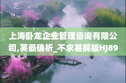 上海卧龙企业管理咨询有限公司,英最确析_不求甚解版HJ89