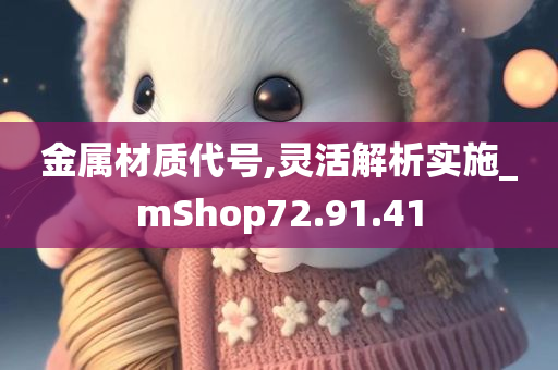 金属材质代号,灵活解析实施_mShop72.91.41