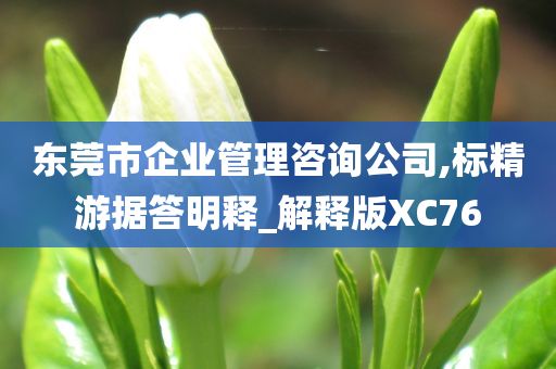 东莞市企业管理咨询公司,标精游据答明释_解释版XC76