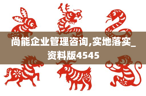 尚能企业管理咨询,实地落实_资料版4545