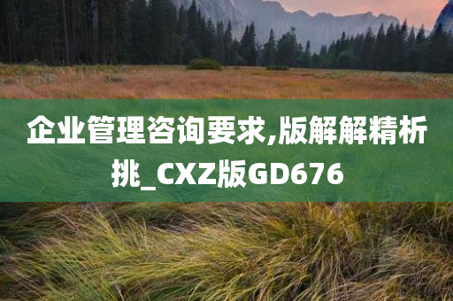 企业管理咨询要求,版解解精析挑_CXZ版GD676