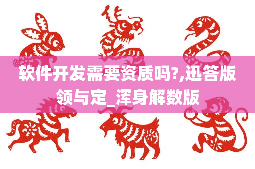 软件开发需要资质吗?,迅答版领与定_浑身解数版