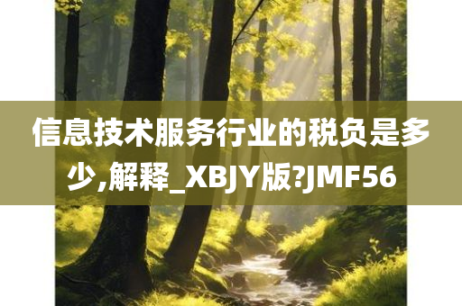 信息技术服务行业的税负是多少,解释_XBJY版?JMF56