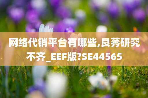 网络代销平台有哪些,良莠研究不齐_EEF版?SE44565