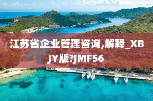 江苏省企业管理咨询,解释_XBJY版?JMF56