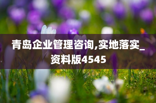 青岛企业管理咨询,实地落实_资料版4545