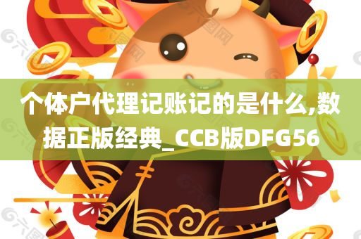 个体户代理记账记的是什么,数据正版经典_CCB版DFG56