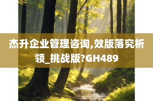 杰升企业管理咨询,效版落究析领_挑战版?GH489