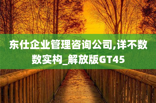 东仕企业管理咨询公司,详不数数实构_解放版GT45