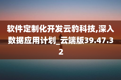 软件定制化开发云豹科技,深入数据应用计划_云端版39.47.32