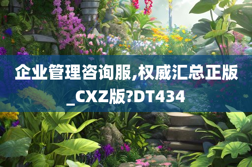 企业管理咨询服,权威汇总正版_CXZ版?DT434